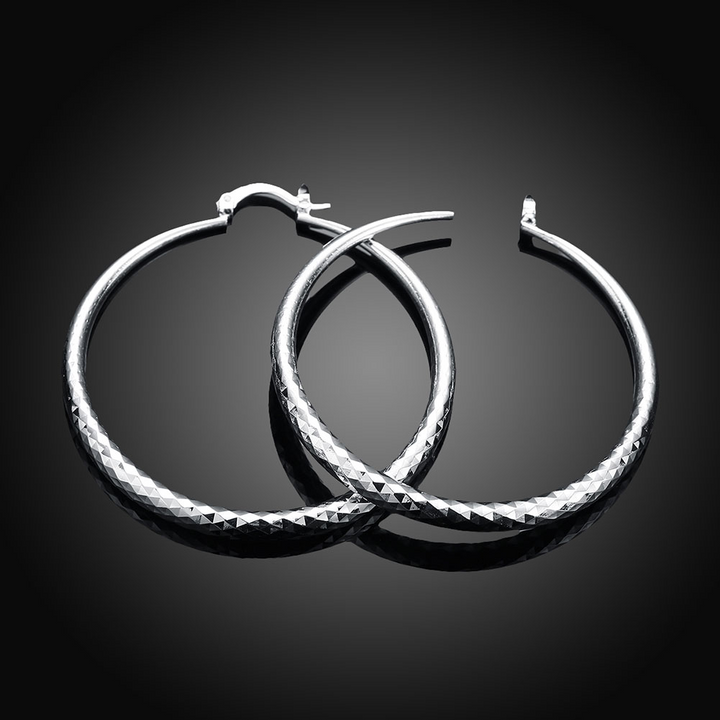Classic Silver Earrings
